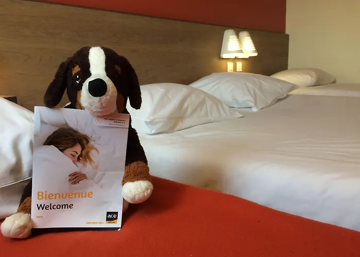 艾斯普瓦捷酒店 酒店 3*