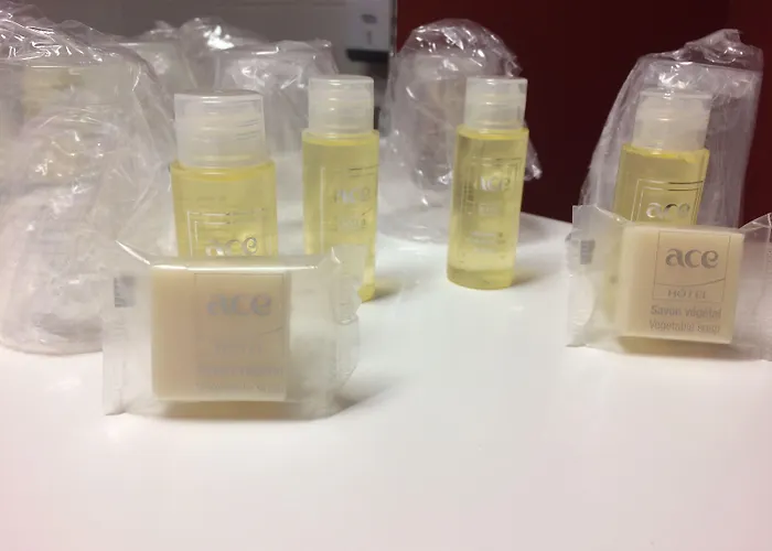 酒店 艾斯普瓦捷酒店 3*