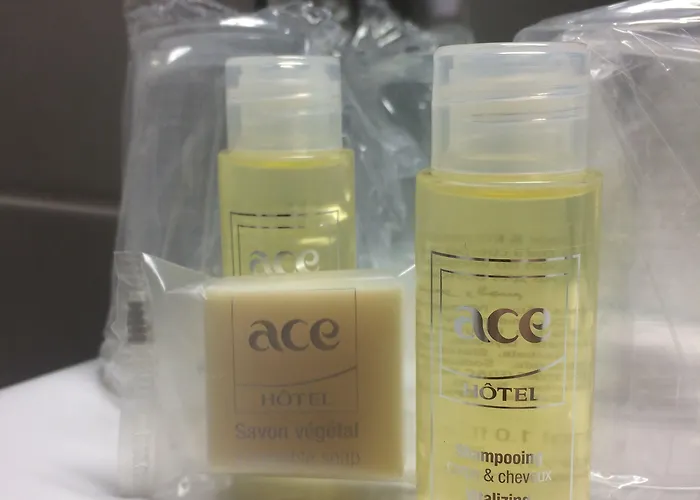 艾斯普瓦捷酒店 酒店